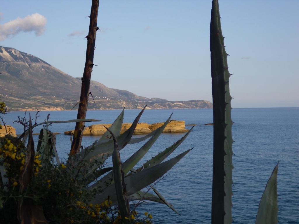 Kefallonia Bay Resort Spartia  Exterior foto